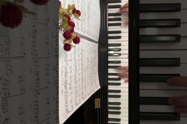 ピアノ de 宇野昌磨（Shoma Uno）「See You Again 」しゆあげ