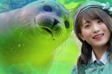 AKB48 Team8 坂口渚沙さん応援編集動画（3939thankyou Tik Tok アップ集 Vol.29)