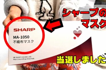 シャープのマスクがものすごい低確率なのに当選しました　Japanese mask
