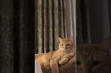 【インスタライブ】石田ゆり子 初インスタライブ(20200517)