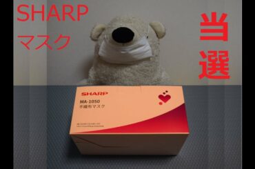 SHARP　マスク　当選