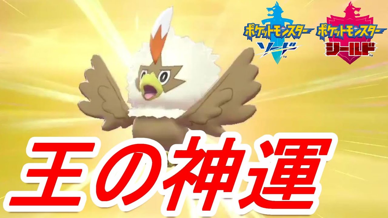【ポケモン剣盾】王は特性を外さない。BY剛力彩芽 色違いワシボン編
