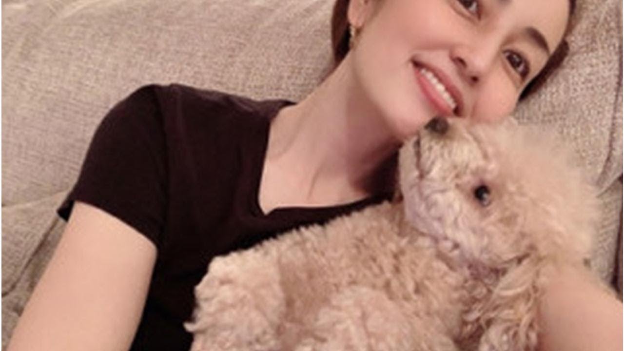 矢田亜希子、愛犬とのショットに「お綺麗です」「美人過ぎる」の声