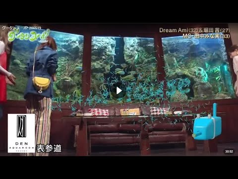 グータンヌーボ２ 動画 　2020年5月19日　Ｄｒｅａｍ　Ａｍｉ×堀田茜×田中みな実