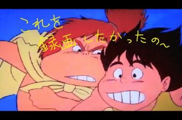 SONY BRAVIA テレビにハードデスクをつなげて番組予約、未来少年コナンを録画できた
