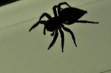 #ayumix2020 　浜崎あゆみ 「Boys & Girls」remixed by Dark Omega