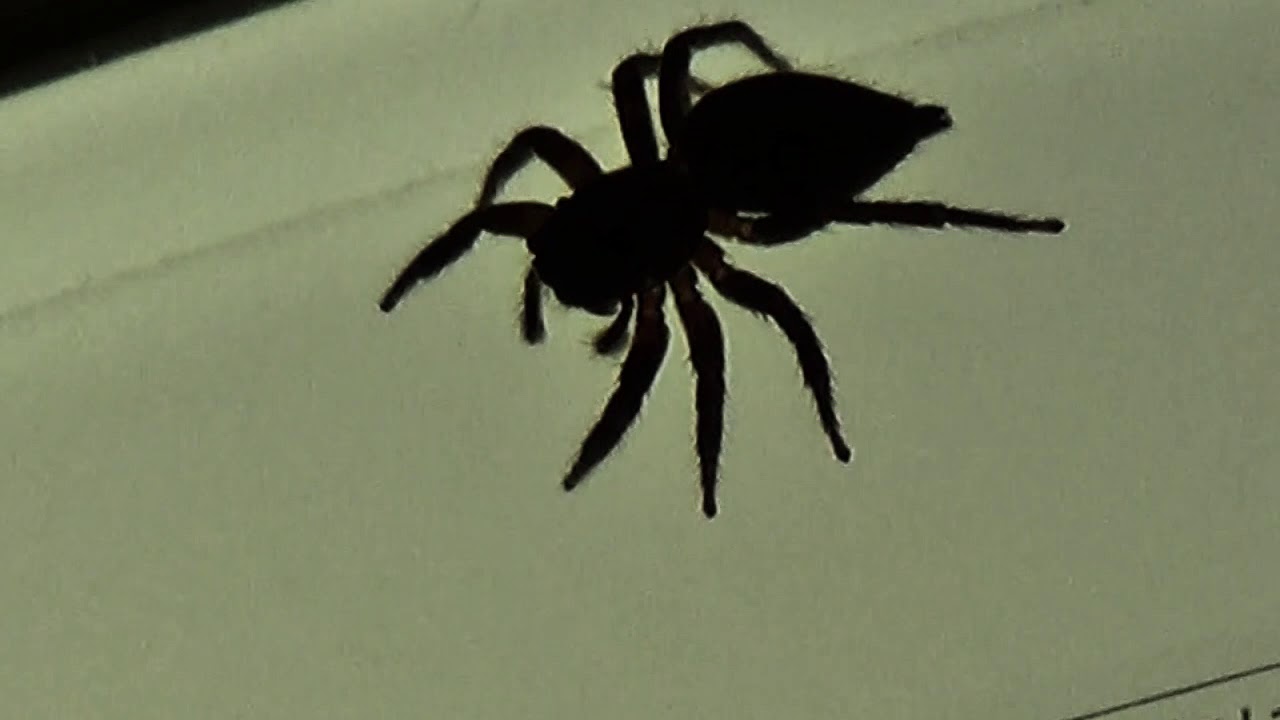 #ayumix2020 浜崎あゆみ 「Boys & Girls」remixed by Dark Omega #ayumix2020 浜崎あゆみ 「Boys & Girls」remixed by Dark Omega