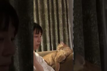 【インスタライブ】石田ゆり子 初インスタライブ(20200517) Cut