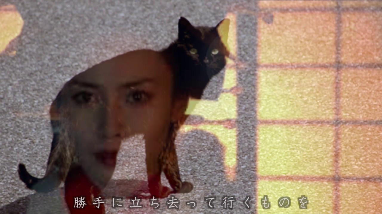 名うての泥棒猫 「石川さゆり＋椎名林檎」 song by Mayu
