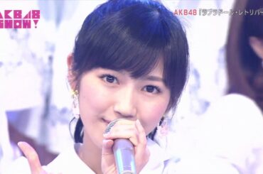 AKB48 - Labrador Retriever