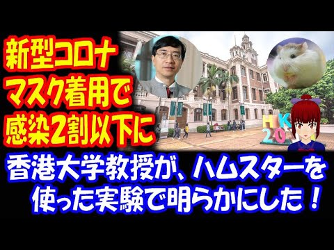 マスク着用で 新型コロナ感染 減少! 2割以下に 香港大学の ハムスターを用いた 実験で 明らかに! マスク着用で 新型コロナ感染 減少! 2割以下に 香港大学の ハムスターを用いた 実験で 明らかに!