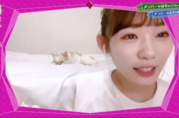 欅って、書けない？ 【欅坂４６】 2020 FULL Episodes 100 FULL SHOW 20.05.27