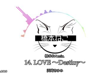 14. LOVE ～Destiny～ / 浜崎あゆみ【ayuクリエイターチャレンジ】