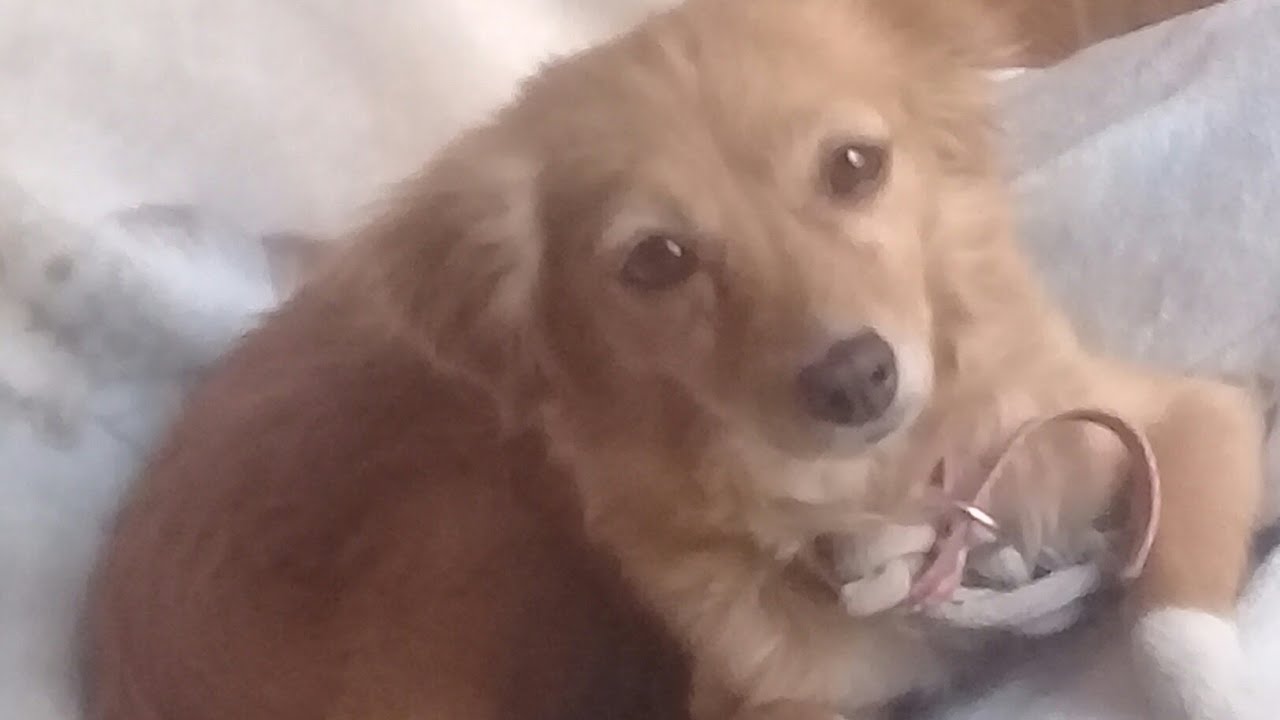 •Nanami :3• y su idea xd//Leer desc.