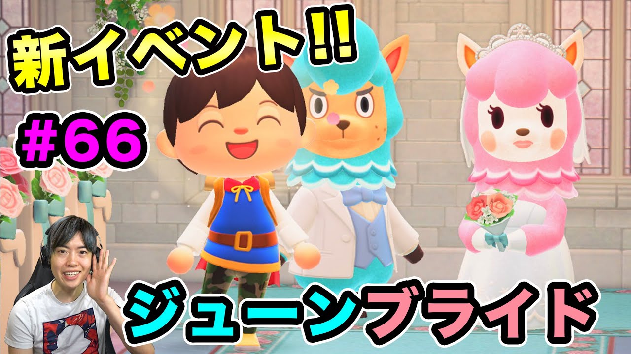 【あつまれどうぶつの森】新イベントジューンブライドが始まった！天才カメラマンになるぞ！#66