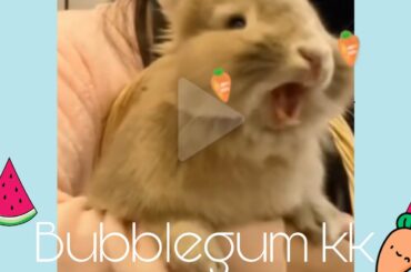 Bubblegum kk[Nanami Channel]