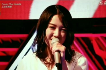 上白石萌音『From The Seeds』CDTVライブ!ライブ!