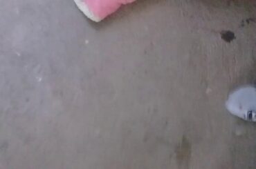 La explicacion de •Nanami :3•