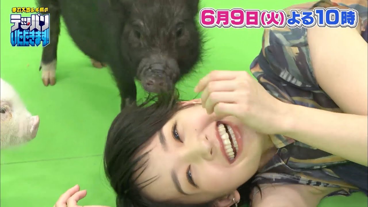 【剛力彩芽がブタに囲まれ大はしゃぎ！？】06.09華丸大吉＆千鳥のテッパンいただきます！
