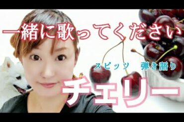 【ハモり】スピッツ「チェリー」カバーを 一緒に歌おう！一緒に歌いましょう アコギター弾き語り 初心者 かんたんコード フル歌詞つき Arrange Ver. covered by ◯◯さん& 網戸もえ