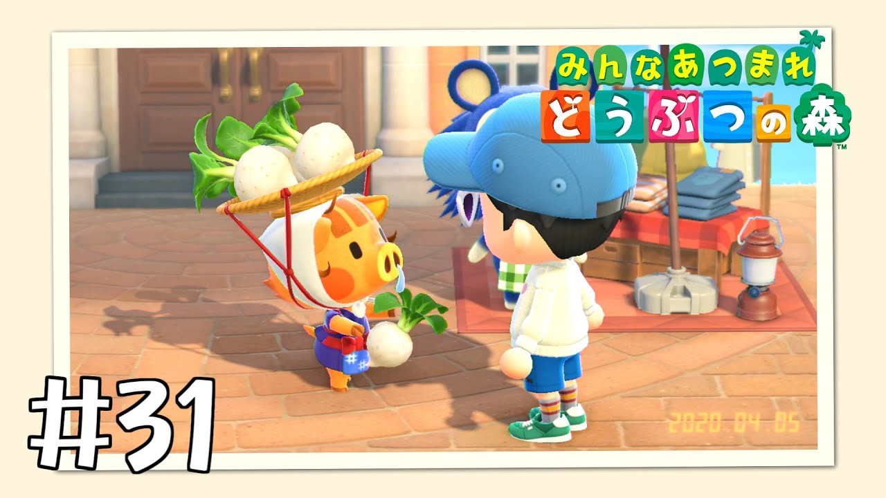 【実況】みんなあつまれ どうぶつの森 #31