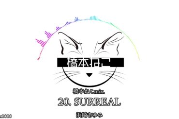 20. SURREAL / 浜崎あゆみ【ayuクリエイターチャレンジ】橋本ねこmix.