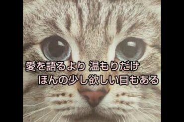 i believe  華原朋美 cober