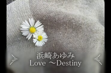 浜崎あゆみ　LOVE ～Destiny～