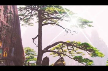 บทเพลงในหัวใจ[Nanami Channal]