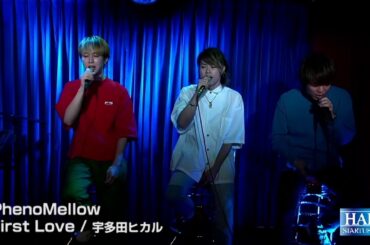 【Acoustic Cover】First Love - 宇多田ヒカル