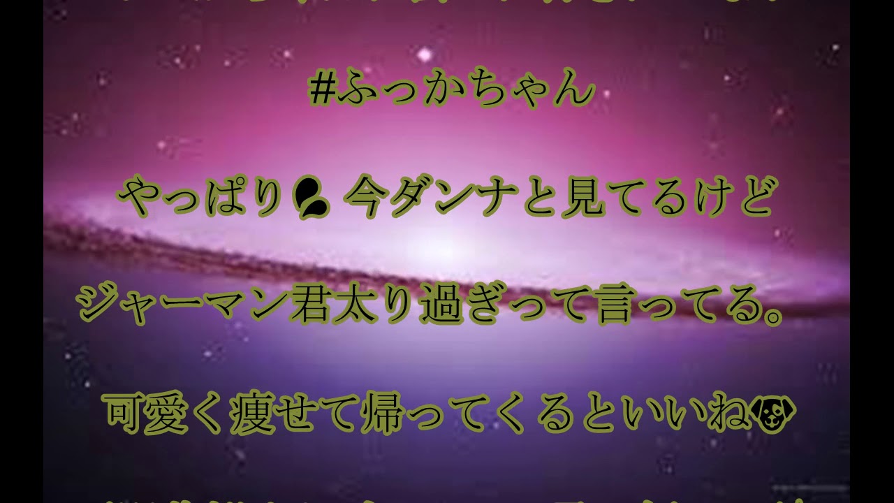 ジャーマン君,OR ,「1億人の大質問!?笑ってコラえて!」,イケメン&ネタ掘れ,ワンワンの旅, #竹内涼真& #志尊淳& #平野紫耀& #杉野遥亮 ,超能力犬,連れられて,ネタ探し,話題,動画