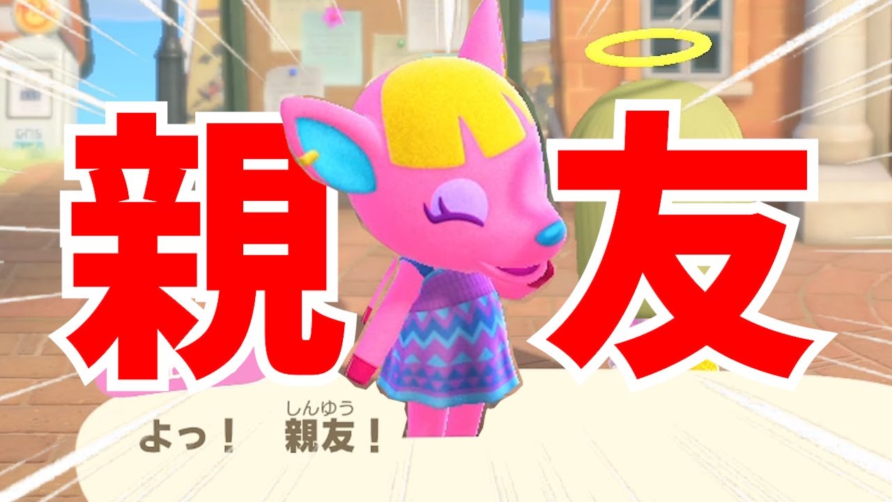 【あつ森】親友！！！やってさ！！！！！【あつまれどうぶつの森】