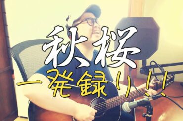 【一発録り】 秋桜 / 山口百恵・さだまさし 【covered by トクモリスキー】