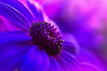 鏡花水月        ー The SHIGOTONIN.....東山紀之 ・ 松岡昌宏 ・ 大倉忠義 ー