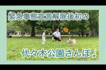 緊急事態宣言が解けたのでお散歩行ってきたよ〜！パグのおまめの毎日　Its OMAME The Pug