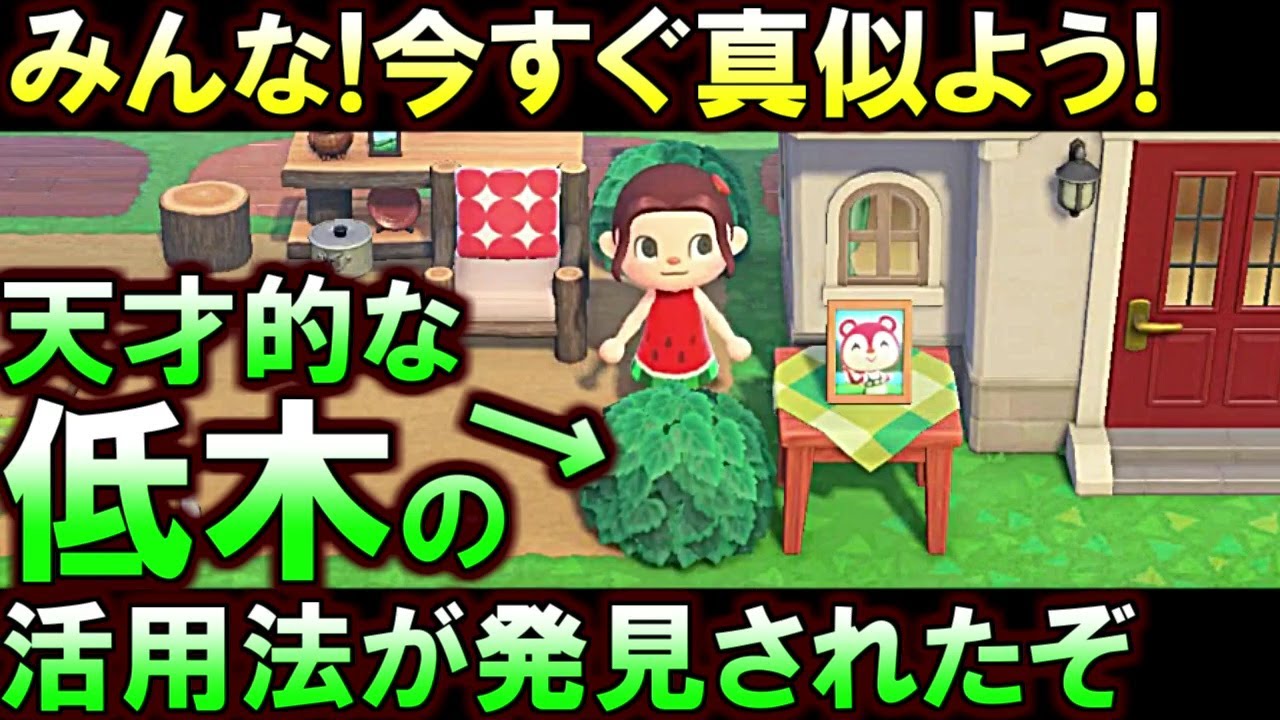 (あつ森)こんな使い方が…天才かよ?!みんな!住民と仲が深まる低木の凄い活用方法が発見されたぞ(あつまれどうぶつの森)