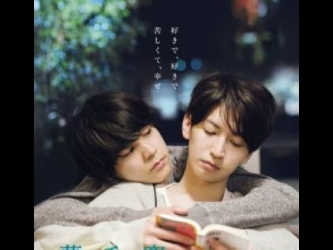 大倉忠義×成田凌共演『窮鼠はチーズの夢を見る』9・11公開