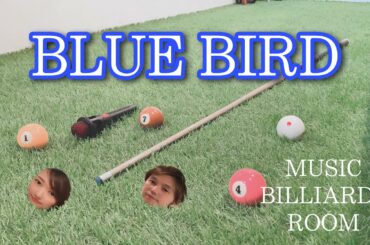 BLUE BIRD／浜崎あゆみ