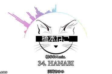 34. HANABI / 浜崎あゆみ【ayuクリエイターチャレンジ】橋本ねこmix.