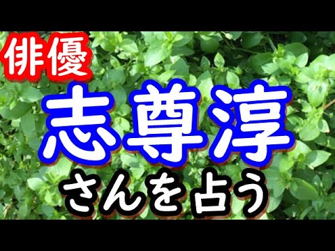 【占い】俳優　志尊淳さんを占う