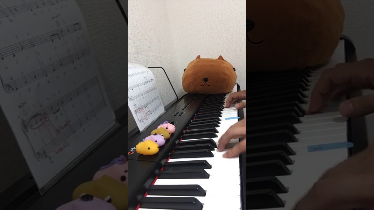 day 42【ピアノ初心者】ハッピーバースデーの曲 広瀬すずさん誕生日おめでとうございます