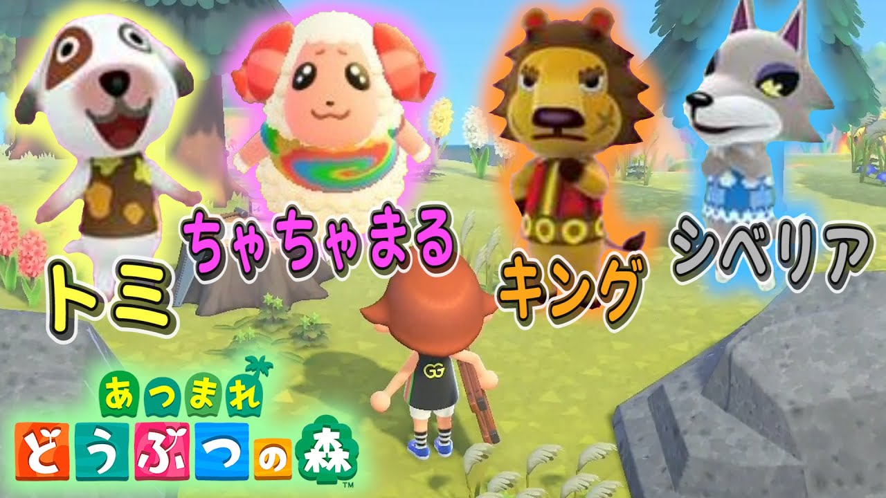 【どうぶつの森】離島ガチャで目当てのキャラ出るまで終われません【みず森】