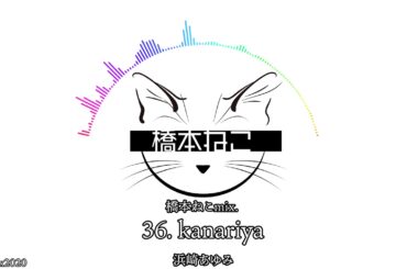 36. kanariya / 浜崎あゆみ【ayuクリエイターチャレンジ】橋本ねこmix.
