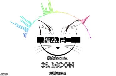 38. MOON / 浜崎あゆみ【ayuクリエイターチャレンジ】橋本ねこmix.