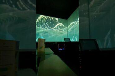 宇多田ヒカル  ぶっ本！ COLORS