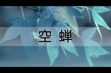 空蝉_山口百恵 (UTSUSEMI_YAMAGUCHI MOMOE) VIETSUB