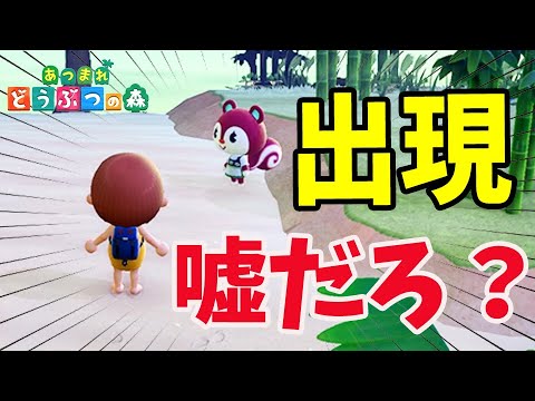【あつ森】1400回目離島ガチャで・・・ついにグミちゃんが出現！？しゃちくはいったいどうする？【あつまれどうぶつの森】