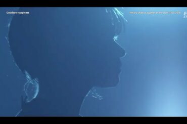 [한글자막] Goodbye Happiness - 우타다 히카루 (宇多田ヒカル)