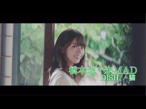 乃木坂46 橋本奈々未 MAD DISH// 『猫』