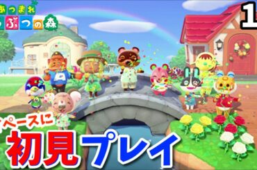 魔の日曜午前#18【あつまれ どうぶつの森/Animal Crossing: New Horizons】